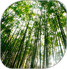 Bambú Merchandising Eco Alvaroman